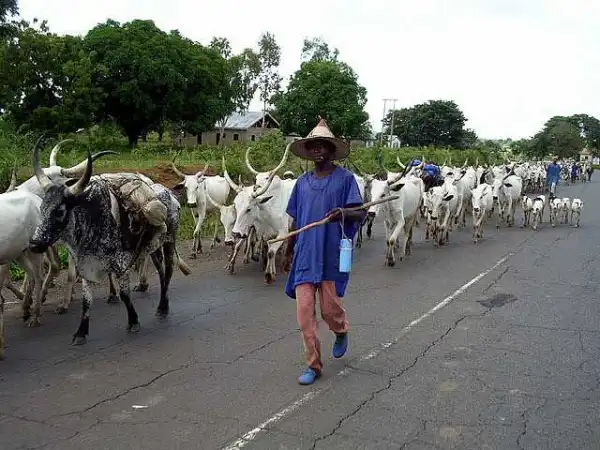 400 Katsina Farmers Ordered To Vacate Grazing Reserve